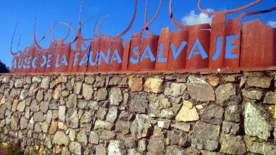 Museo de la Fauna Salvaje