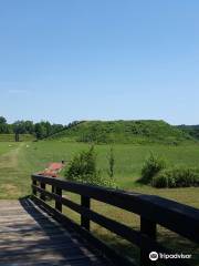 Etowah Indian Mounds State Historic Site