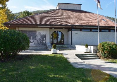 National Museum Arandjelovac