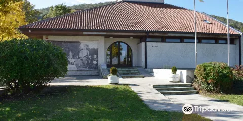National Museum Arandjelovac