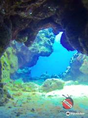 divePro Cancun Diving