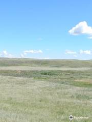 Bear Paw Battlefield