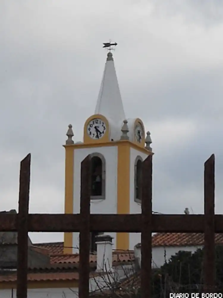 Flor da Rosa
