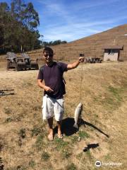 Hagemann Ranch Trout Fishing