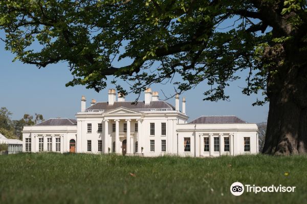 Hylands Park