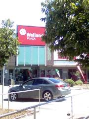 Welland Plaza Shopping Centre