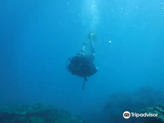 Scuba Diving in Phu Quoc Island