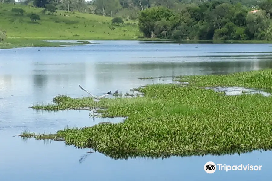 Palmeiras Lake