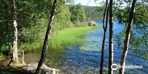 Lutvann