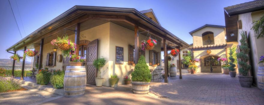 Lake Breeze Vineyards Tasting Room