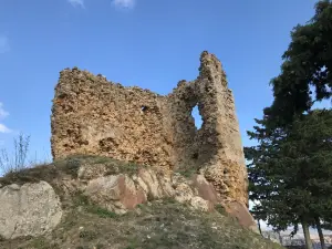 Nicosia Castle