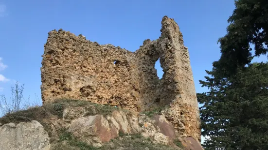Nicosia Castle
