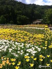 いいでどんでん平ゆり園