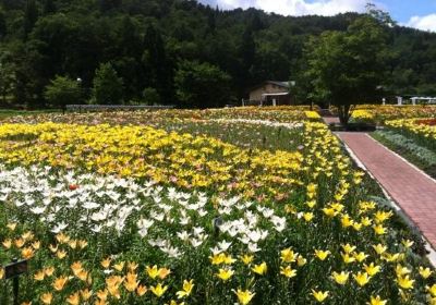 Iide Dondendaira Lily Garden