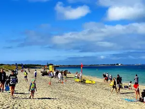 Coogee Beach