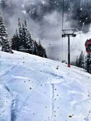 Crystal Mountain Scenic Gondola Ride