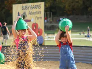 Busy Barns Adventure Farm
