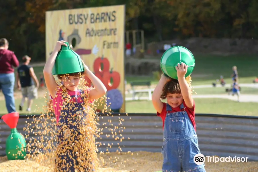 Busy Barns Adventure Farm