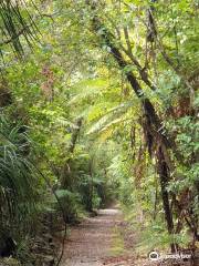 Charming Creek Walkway