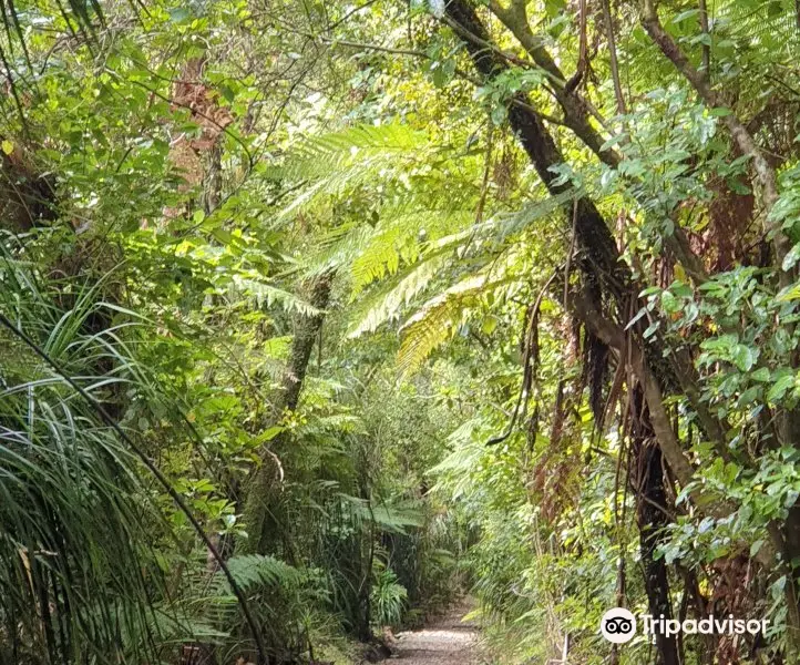 Charming Creek Walkway