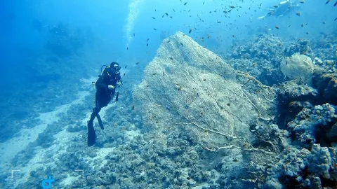 Snorkeling or Scuba Diving in Sharm El Sheikh attraction in Egypt