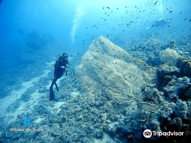 Diving in Sharm El Sheikh