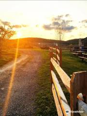 Weed Orchards & Winery