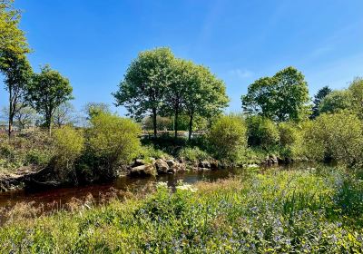 Mineralwell Park