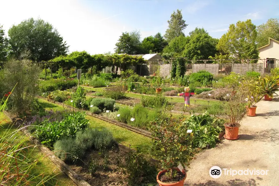 Conservatoire National des Plantes