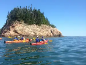 Sunrise Canoe and Kayak