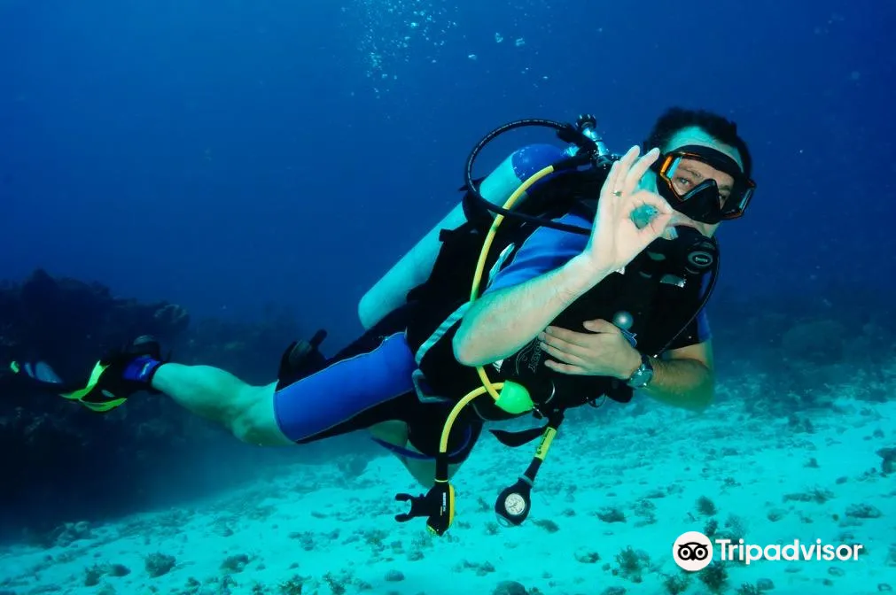 5_Cancun Diving College