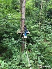 Skypark Kletterwald