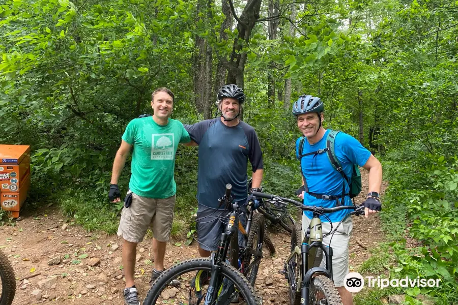 The Bike Farm