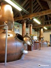 The distillery Molenberg