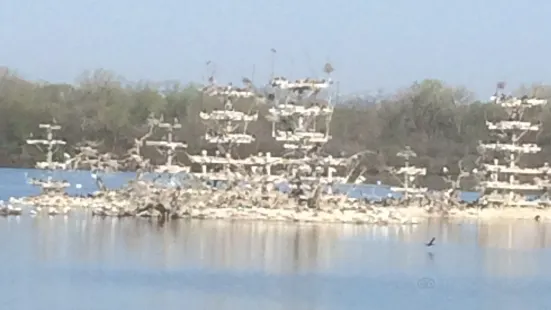 Lake Renwick Heron Rookery Nature Preserve