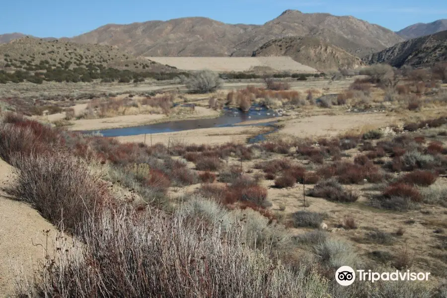 Mojave River Forks Regional Park