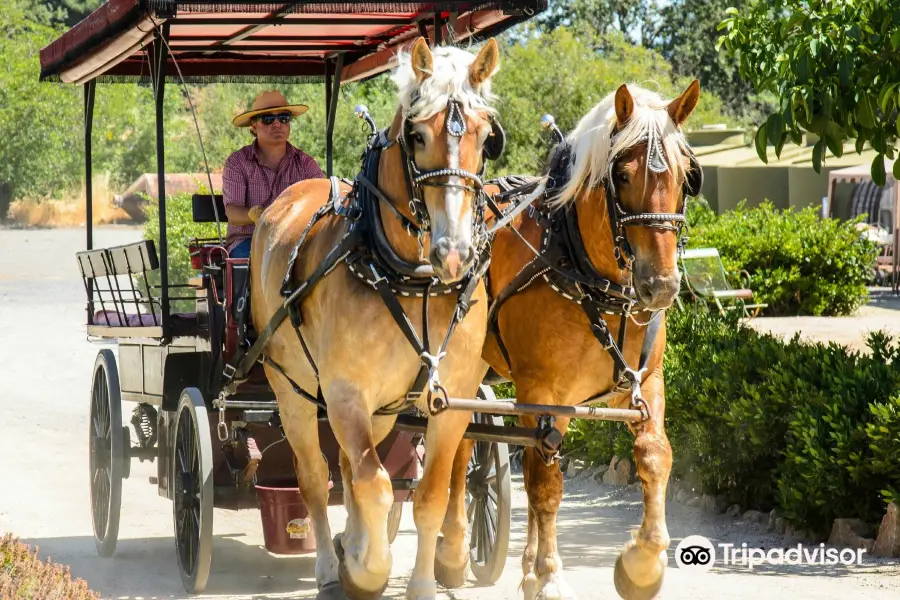 The Wine Carriage