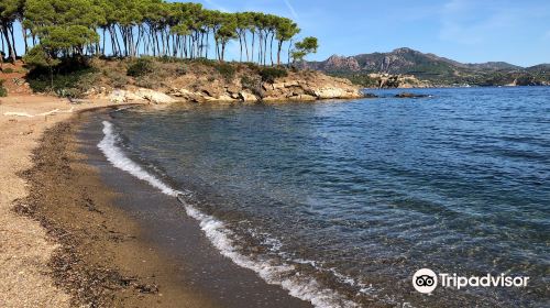 Spiaggia di Istia