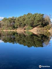 The Blue Pool