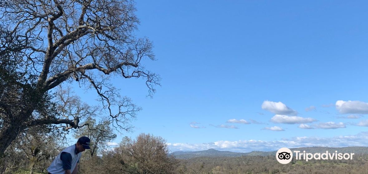 Things to Do in Copperopolis in 2024 Top Attractions, Local Food, Hotels & Travel Tips