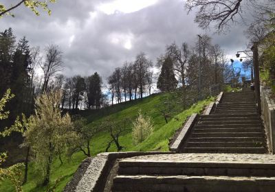 Velenje Museum