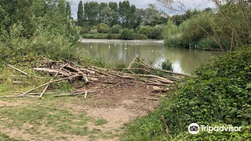 South Norwood Country Park