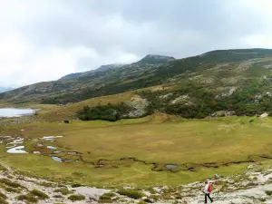 Lac de Nino