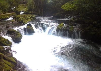 Balneario de Tambaque