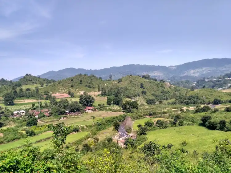 Hotels near Araku Valley