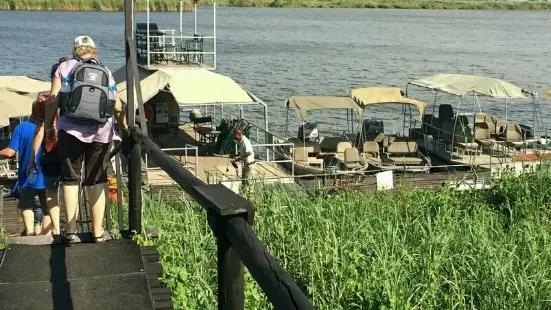 Chobe River Boat Cruises