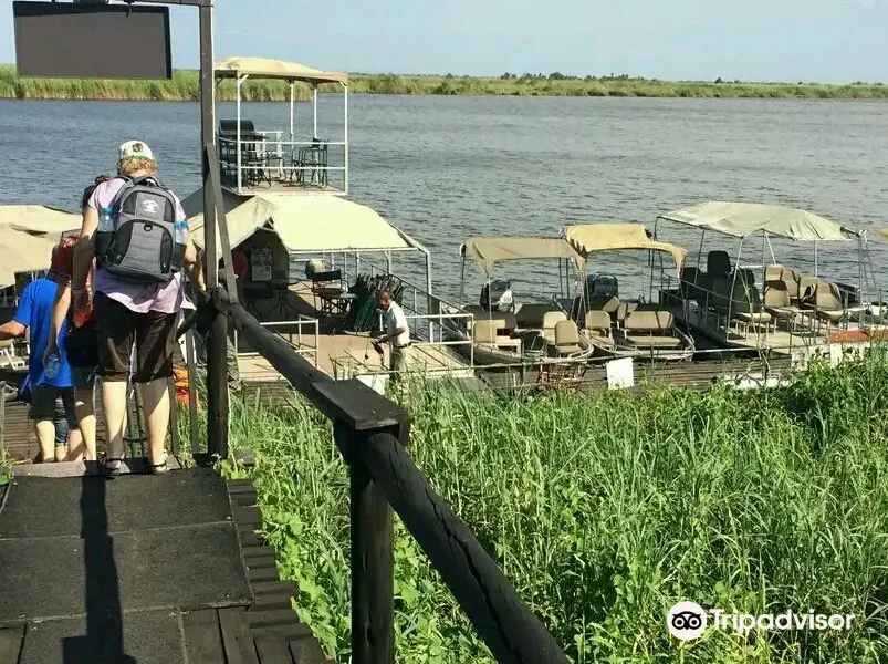 Chobe River Boat Cruises