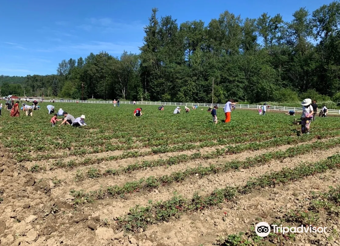 3_Remlinger Farms