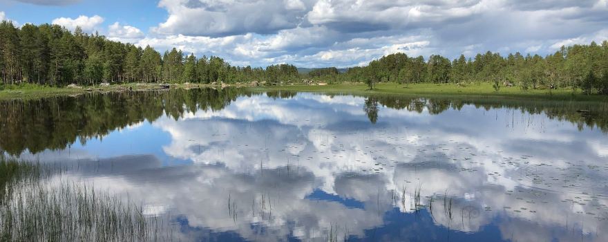 Херьедален