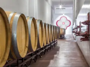 Lusovini - Vinhos de Portugal